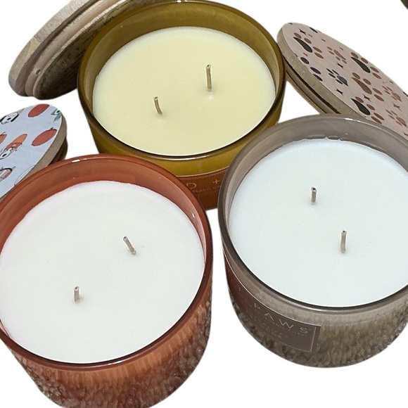 SAND + PAWS Two Wick Odor Neutralizing Scented Candle 12 Oz $28 Retail NEW - Picture 6 of 10